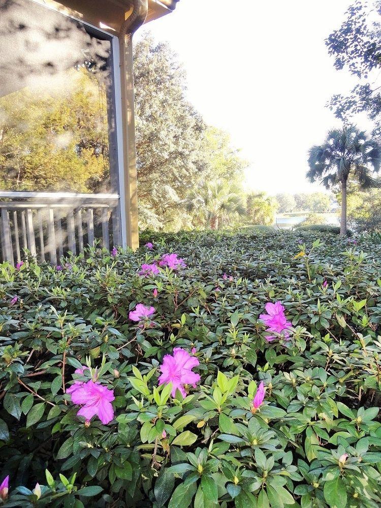 Thurston House Altamonte Springs Exterior photo